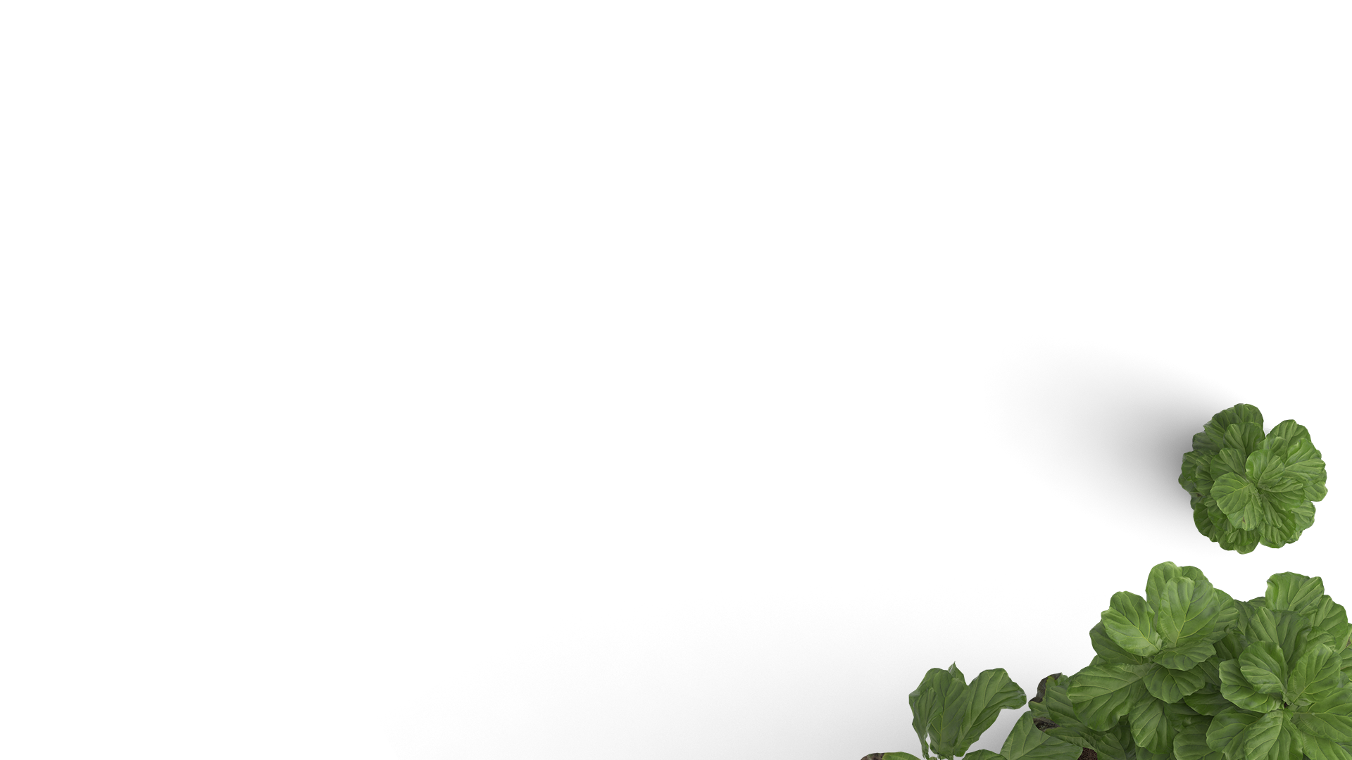 green-on-tablebottop